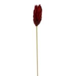 Çiçek Kuru Dal Bitki 50cm