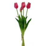 Islak Dokulu Lale Fuşya 47cm