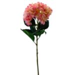 Islak Ortanca Pembe 24x106cm