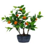 Mandalina Ağacı 60x60cm