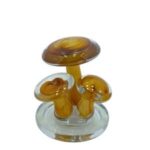 Mantar Cam Obje 12x17cm