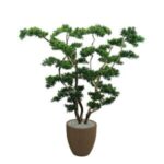 Bonsai Ağaç 50x140cm