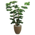 Bonsai Ağaç 50x220cm