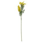 Sarı Mimoza 80cm
